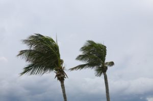Due to Hurricane Alex, Some Texas Employers Received an Extension for Paying Payroll Taxes